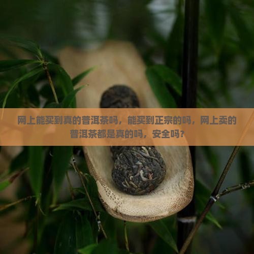 网上能买到真的普洱茶吗