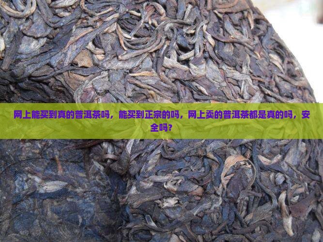 网上能买到真的普洱茶吗