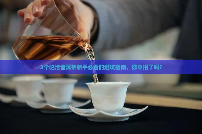临沧普洱茶属于什么茶种