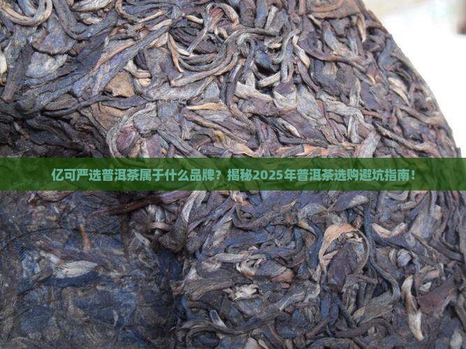 亿可严选普洱茶属于什么品牌