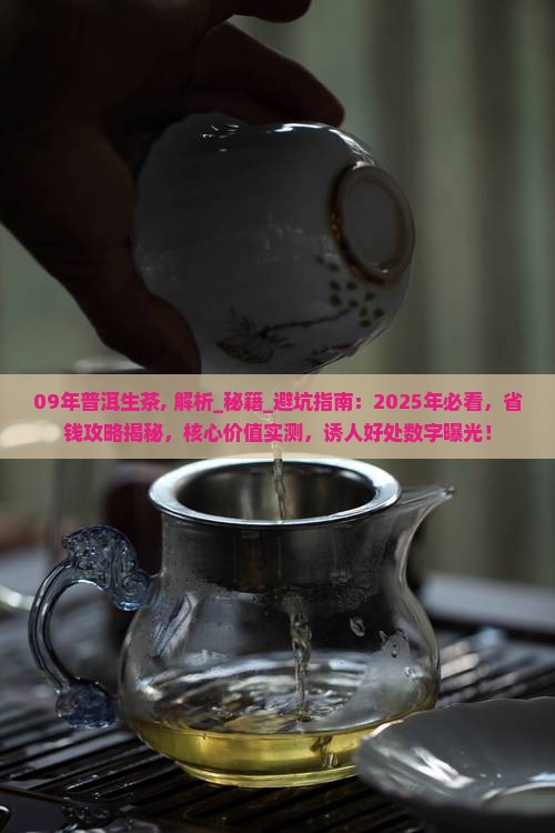 09年普洱生茶