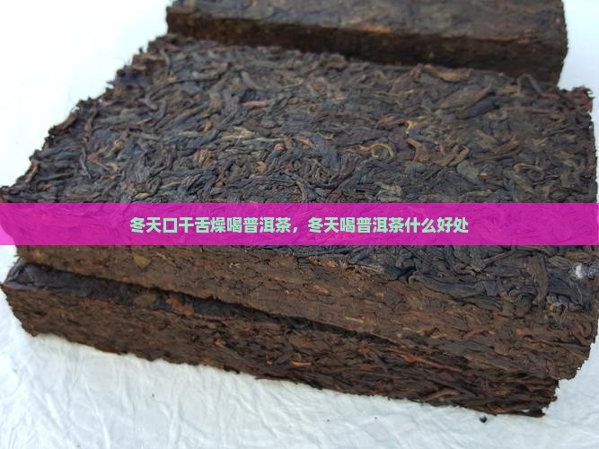 冬天口干舌燥喝普洱茶