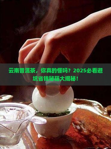 关于云南普洱茶的常识问答