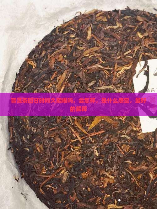 普洱茶回甘时间久