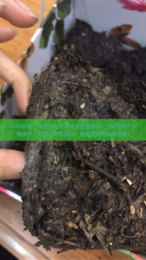 临仓冰岛熟茶特点
