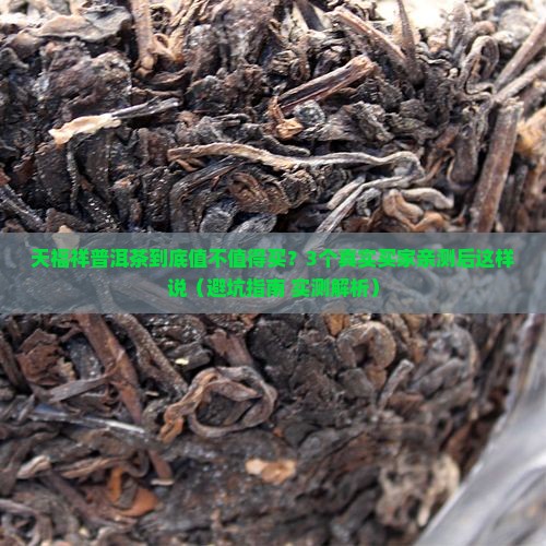 天福祥茶厂天福祥普洱茶怎么样