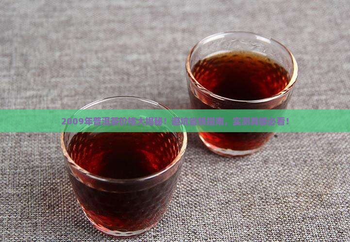 2009年普洱茶价格表