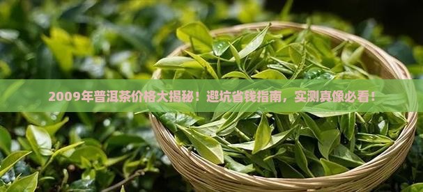 2009年普洱茶价格表