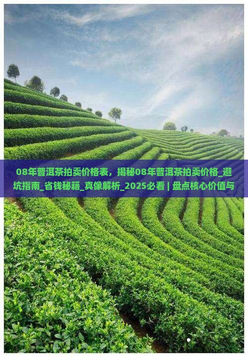 08年普洱茶拍卖价格表