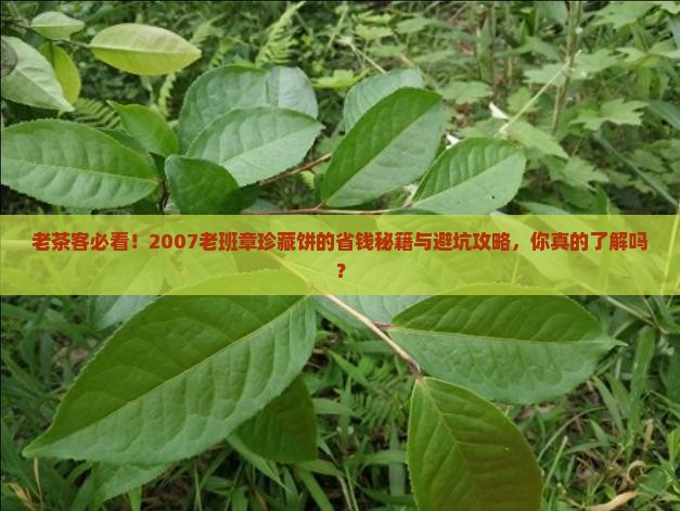 2007老班章珍藏饼