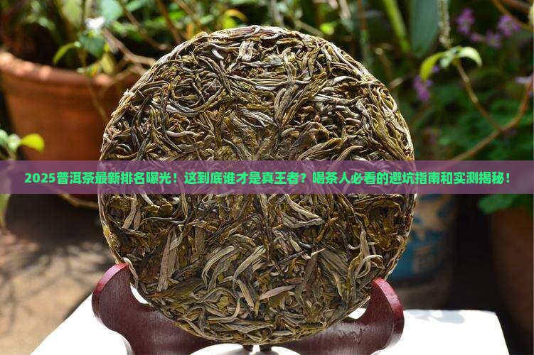 最新的普洱茶排名
