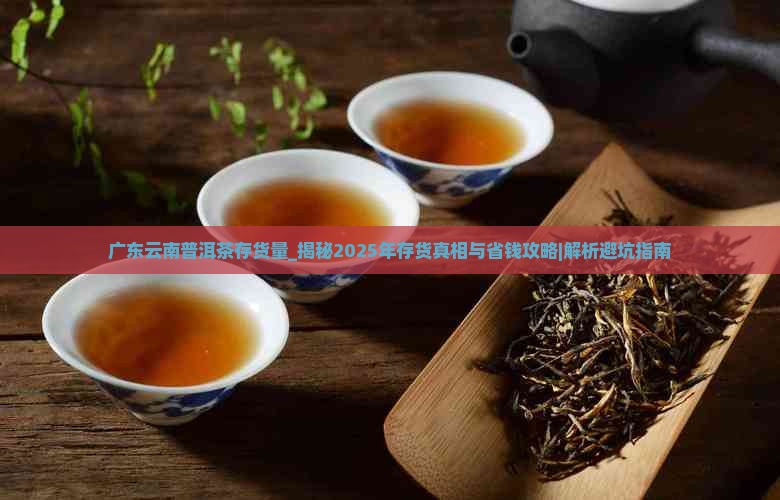 广东云南普洱茶存货量