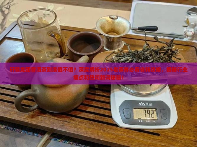 轩辕龙团普洱茶 轩辕龙团普洱茶