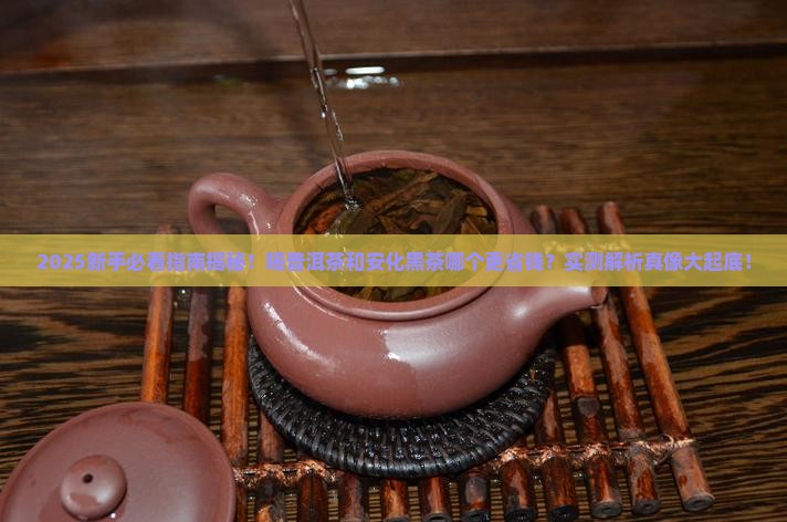 是普洱茶好还是安化黑茶好