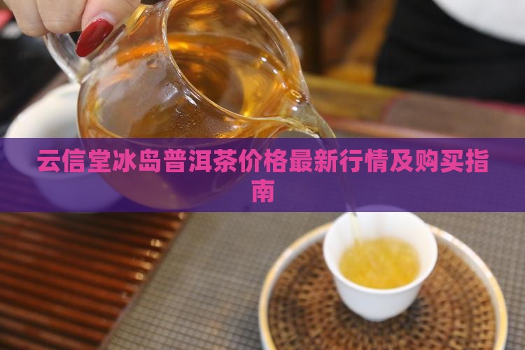 云信堂冰岛普洱茶价格