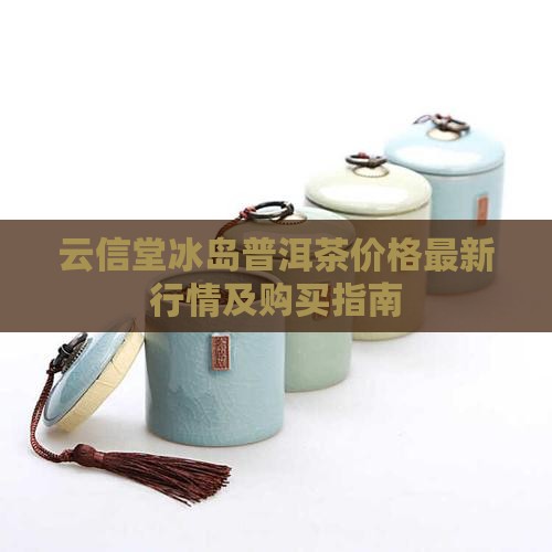 云信堂冰岛普洱茶价格