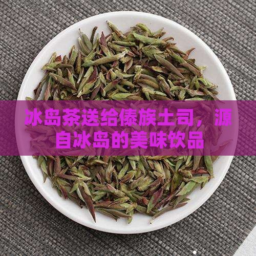 冰岛茶送给傣族土司