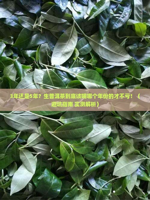 生普洱茶应该喝几年的