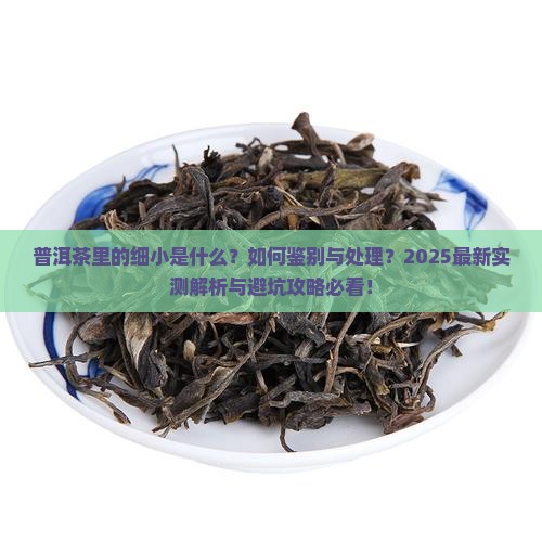 普洱茶里有细小