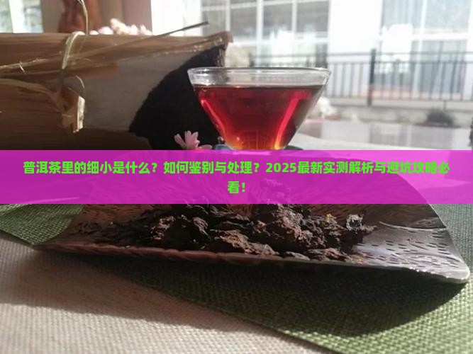 普洱茶里有细小