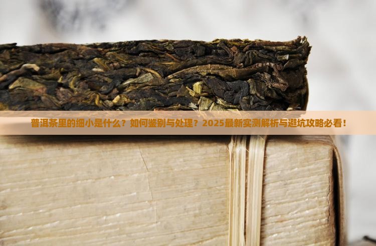 普洱茶里有细小
