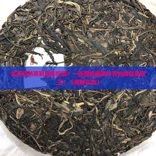 茶叶生茶和熟茶有什么分别