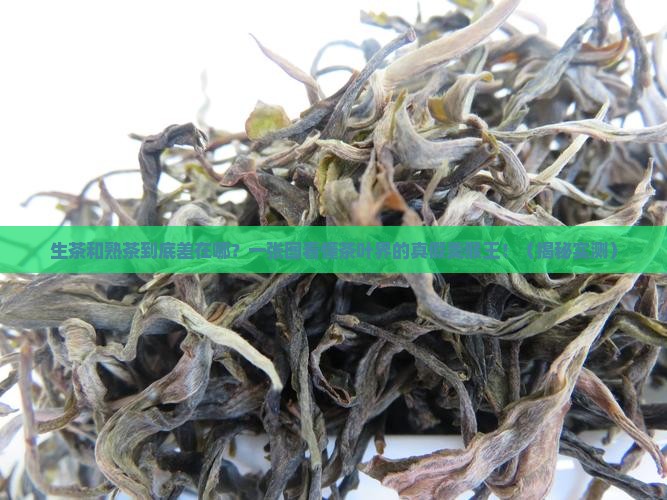 茶叶生茶和熟茶有什么分别