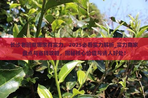 长沙老班章哪家有实力