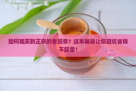 如何能买到正宗的老班章
