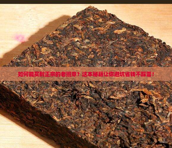 如何能买到正宗的老班章