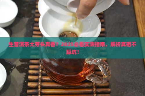 生普洱茶的芽特别大好不好