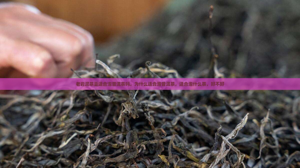 老岩泥茶壶适合泡普洱茶吗
