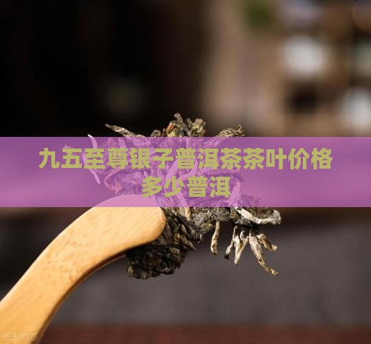 九五至尊碎银子普洱茶多少钱