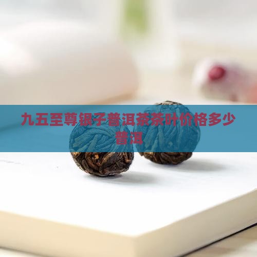 九五至尊碎银子普洱茶多少钱