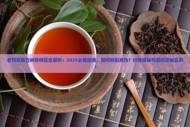 老班章寨古树茶的特征
