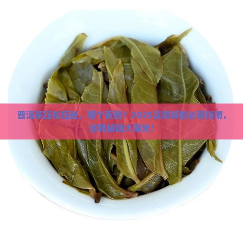 普洱茶压得松好还是瓷实好