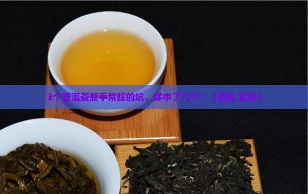 中茶普洱茶荟教学