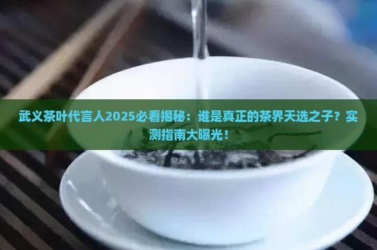 武义茶叶代言人