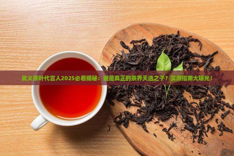 武义茶叶代言人