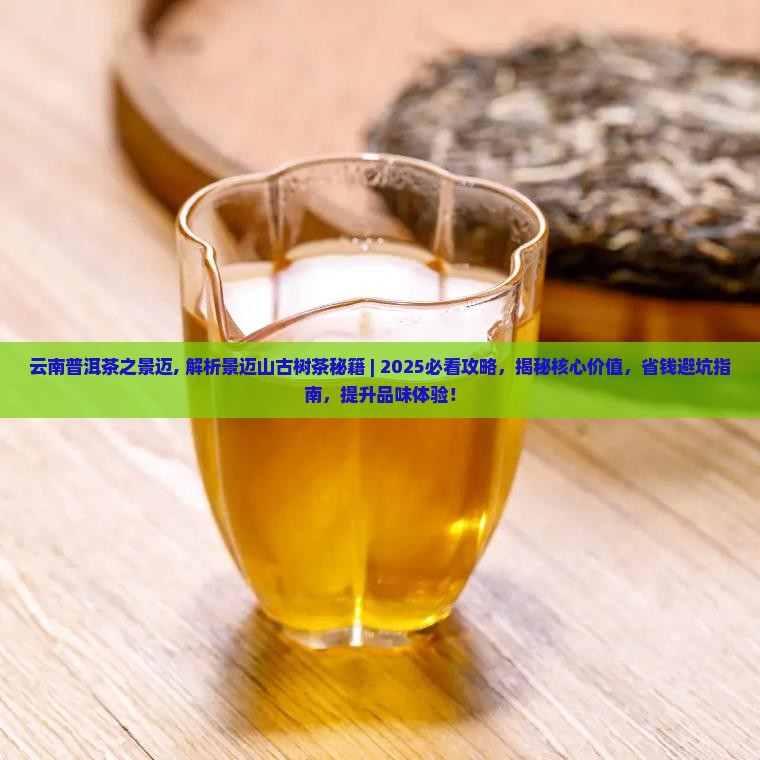 云南普洱茶之景迈