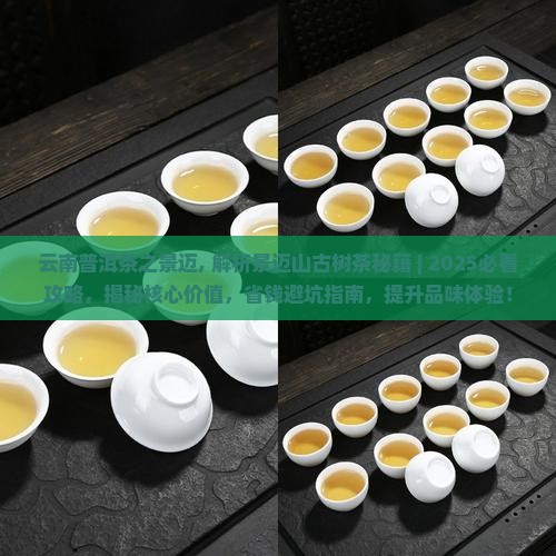 云南普洱茶之景迈