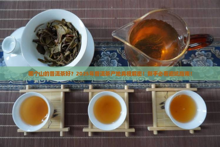 哪个山的普洱茶好