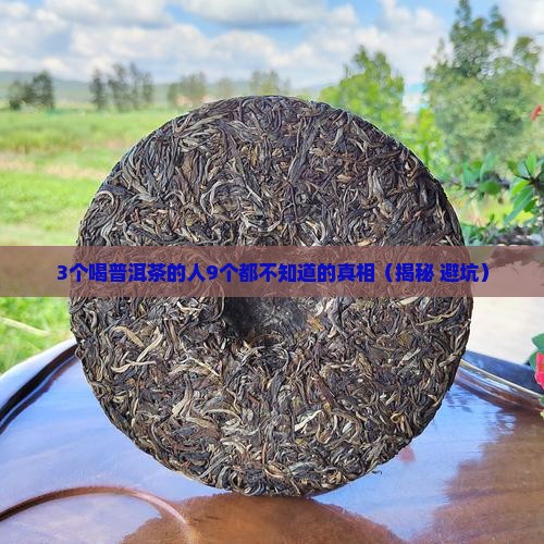 普洱茶不好喝还有什么用