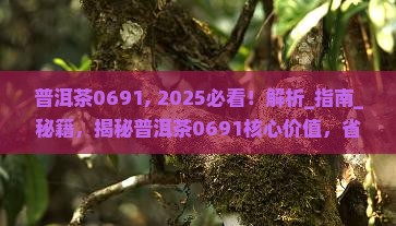普洱茶0691