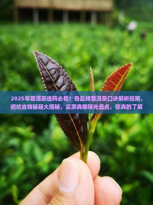 各品牌普洱茶口诀