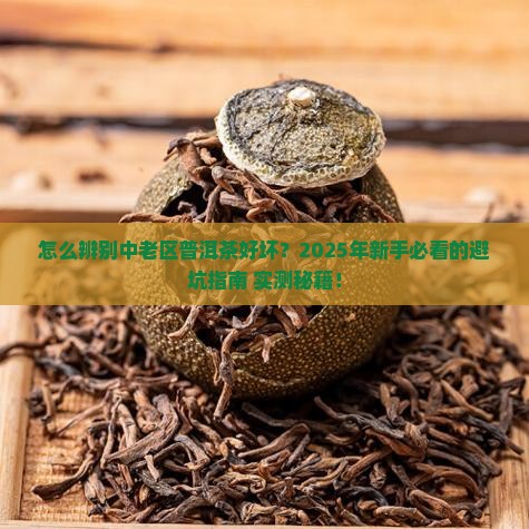 怎么区分中老区普洱茶的好坏