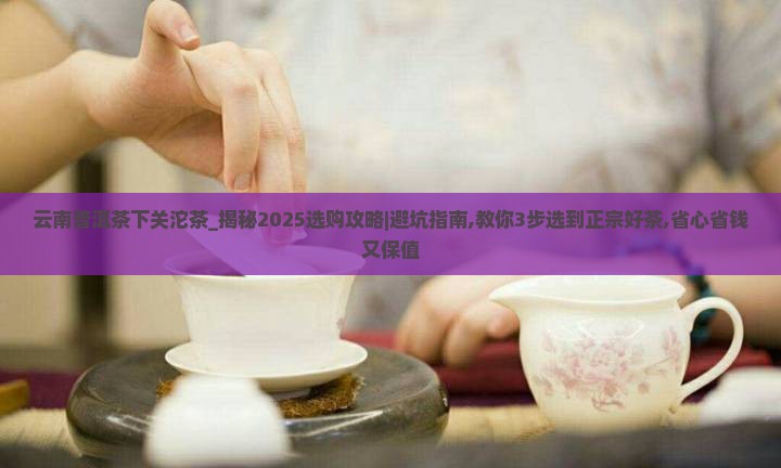 云南普洱茶下关沱茶 云南普洱茶下关沱茶