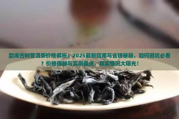 勐海古树普洱茶价格查询