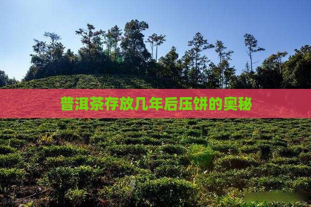 普洱熟茶过几年压饼