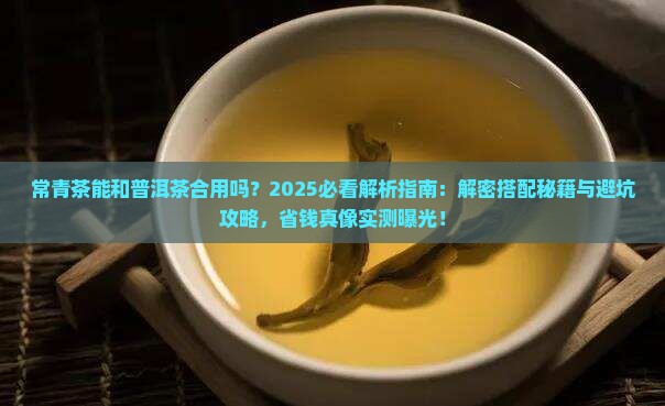 常青茶能和普洱茶合用吗